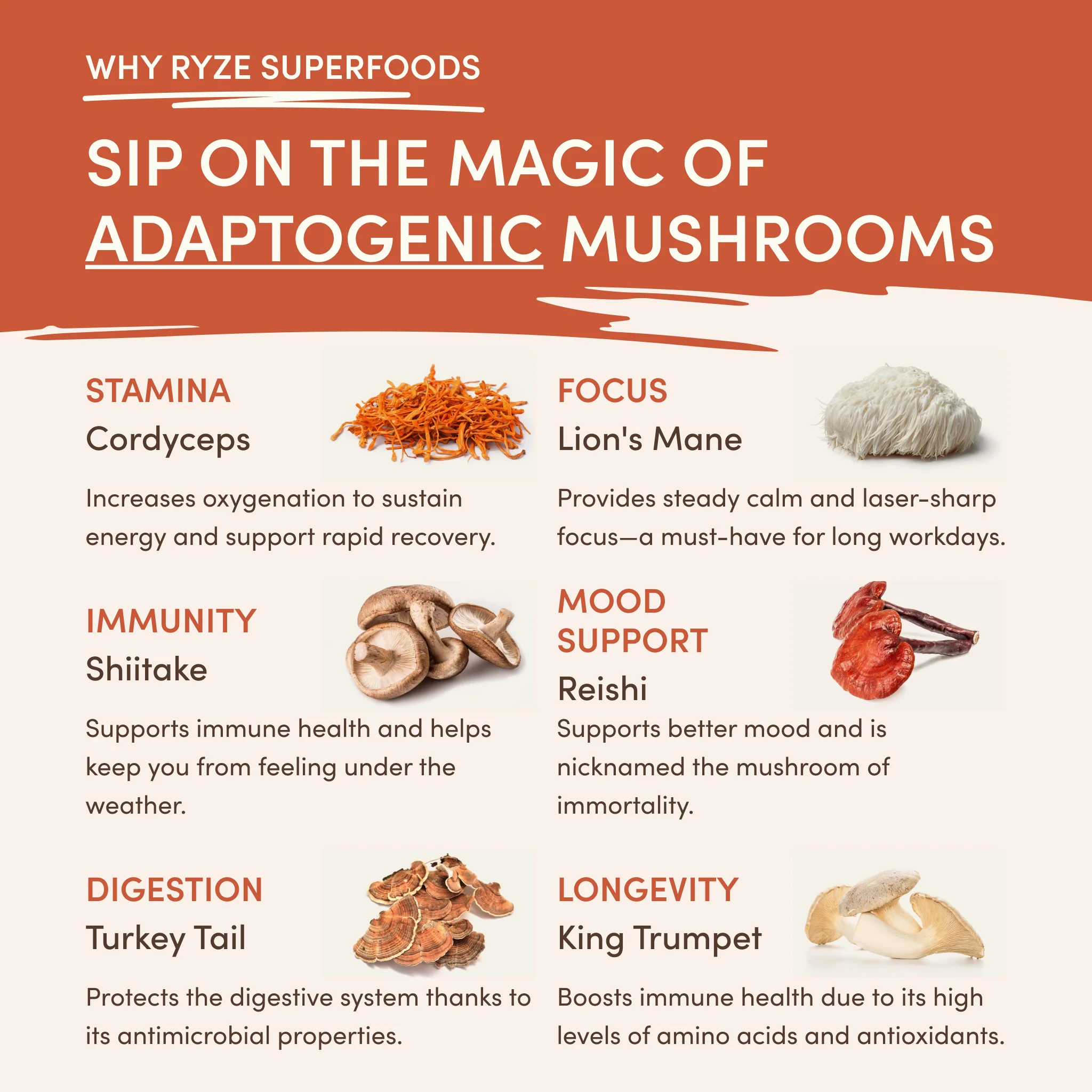 Superfood Creamer Starter Bag - Image 4