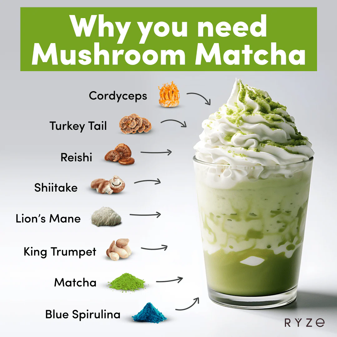 RYZE Mushroom Matcha - with 6 Organic Adaptogenic Mushrooms Grown In USA and Ceremonial-Grade Japanese Matcha - Image 3