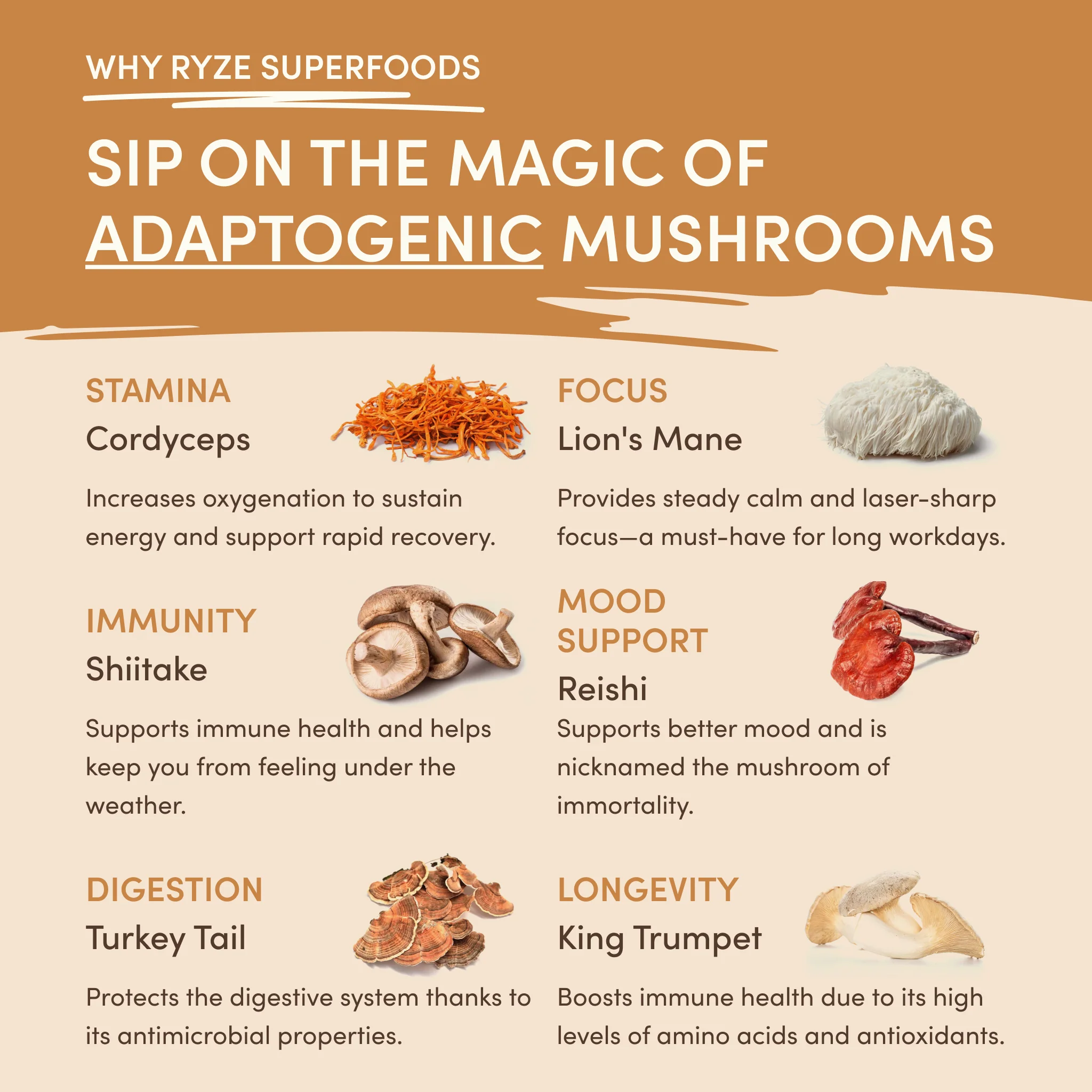 Mushroom Overnight Oats (14 Servings) - Image 4