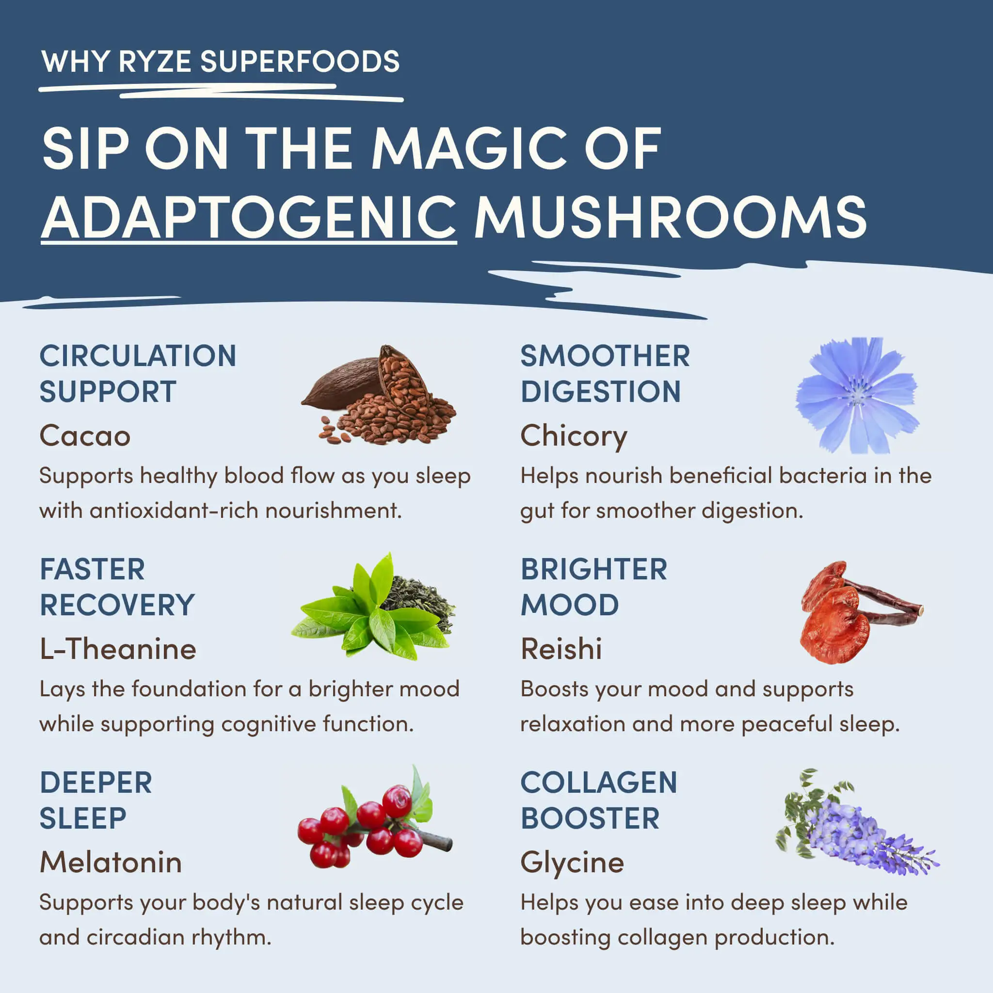 Day + Night Bundle (Coffee + Cocoa) - Image 4